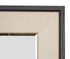 Alexa Mirror